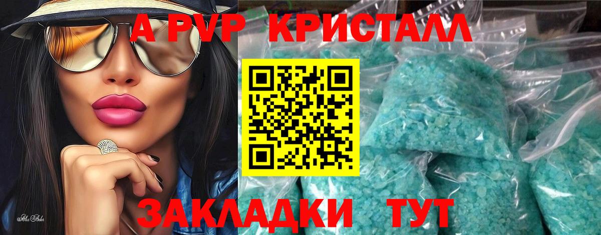 APVP СК КРИС Элиста