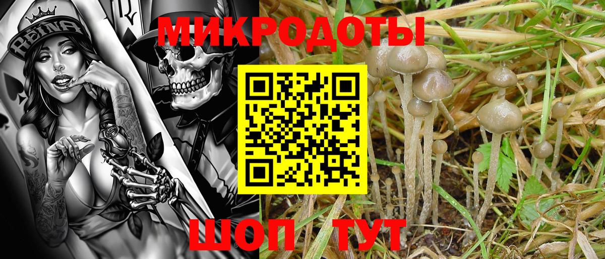 Галлюциногенные грибы Psilocybe  Галлюциногенные грибы мухоморы  Вход с VPN  Элиста 