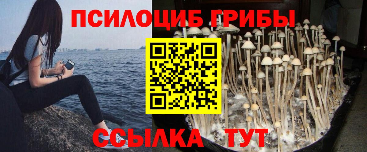 Галлюциногенные грибы мухоморы Элиста